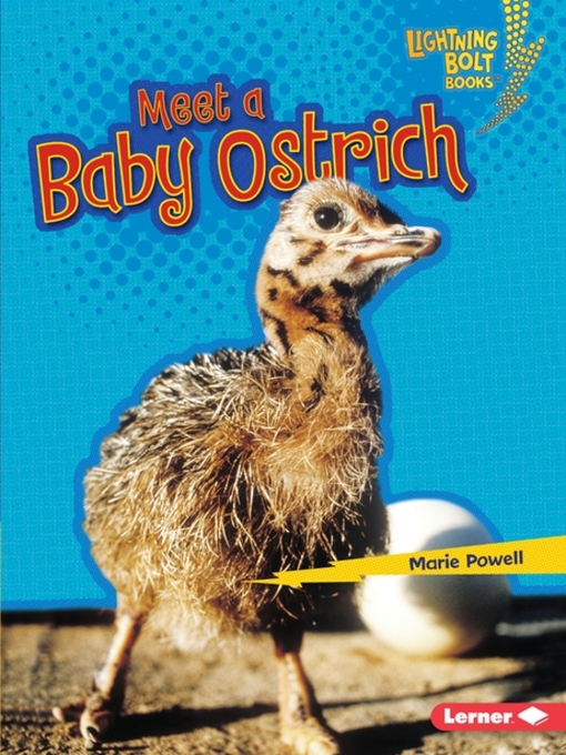 Title details for Meet a Baby Ostrich by Marie Powell - Available